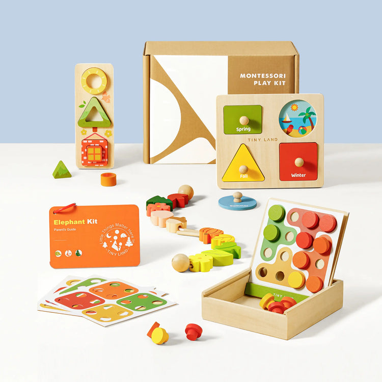 Montessori Educational Toys
