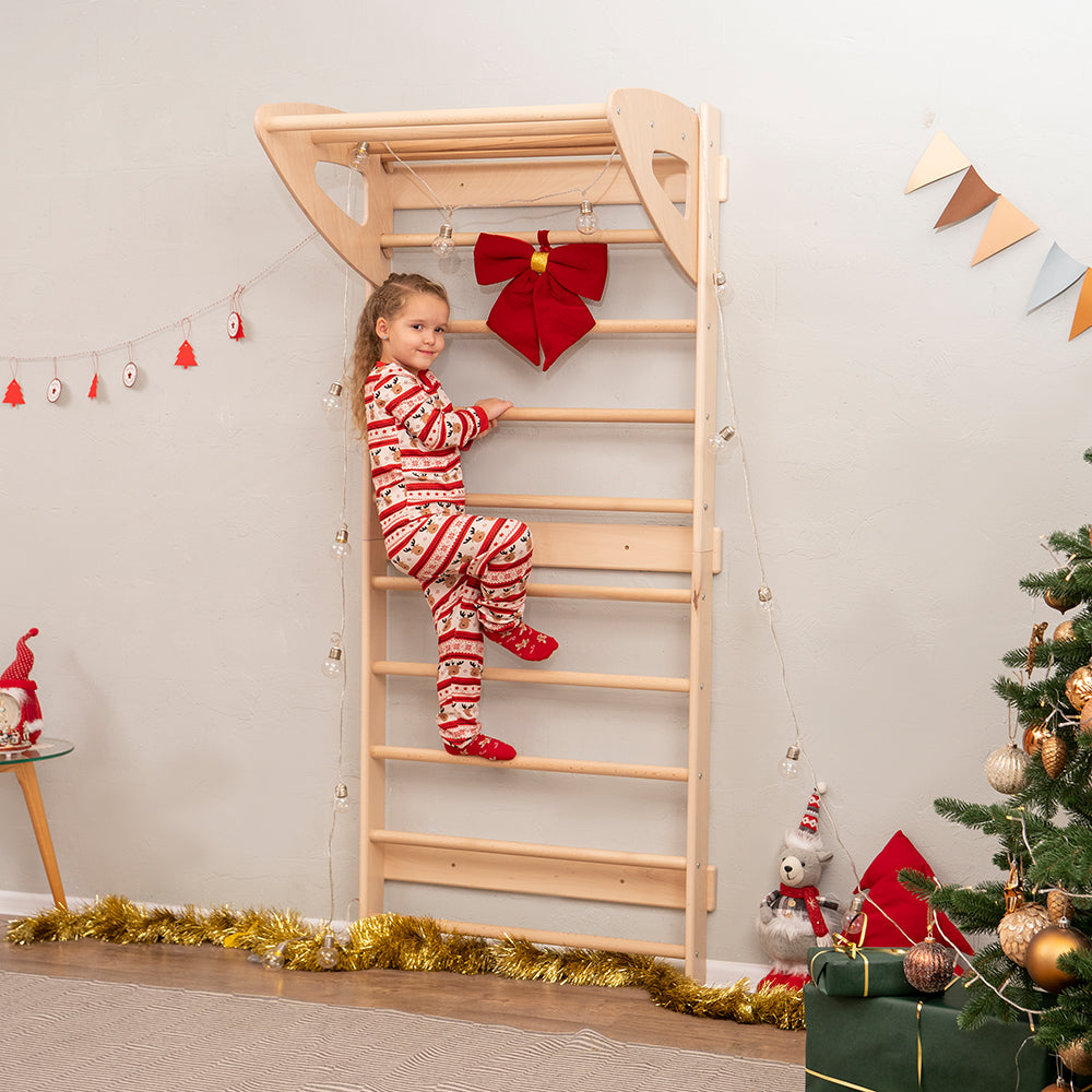 Kids Swedish Climbing Wall