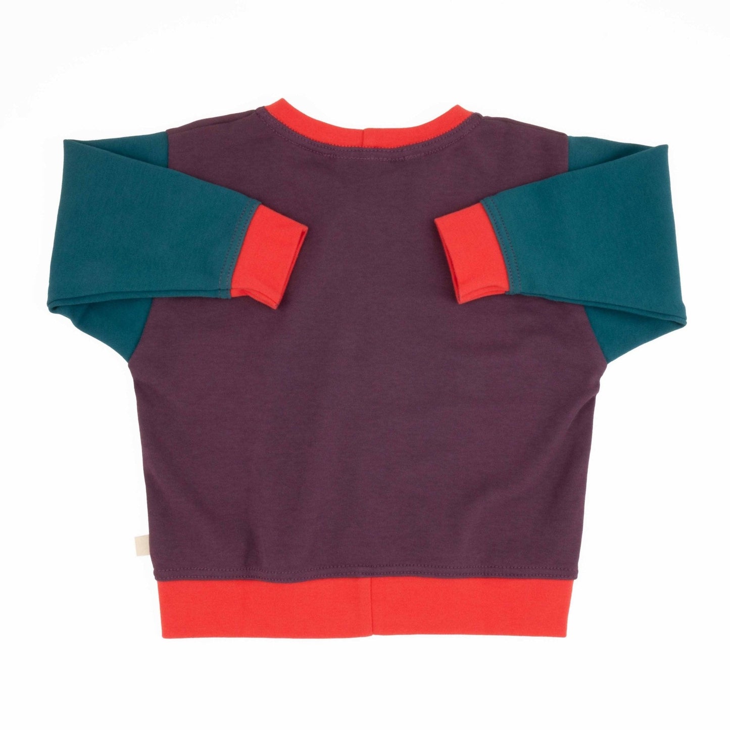 Adult Colorblock Sweatshirt