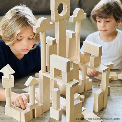 Maple Lamdmark Architect Building Blocks Set