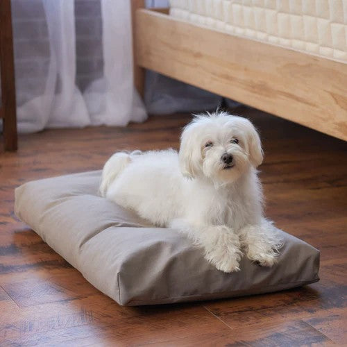 Dog Lying on an Organic Latex Dog Bed With Waterproof Cover