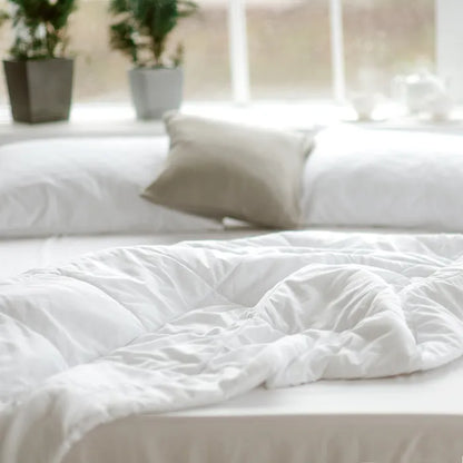 Naturepedic Organic Coton & Down Duvet Insert 