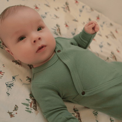 Organic Cotton Footie | Basil Green