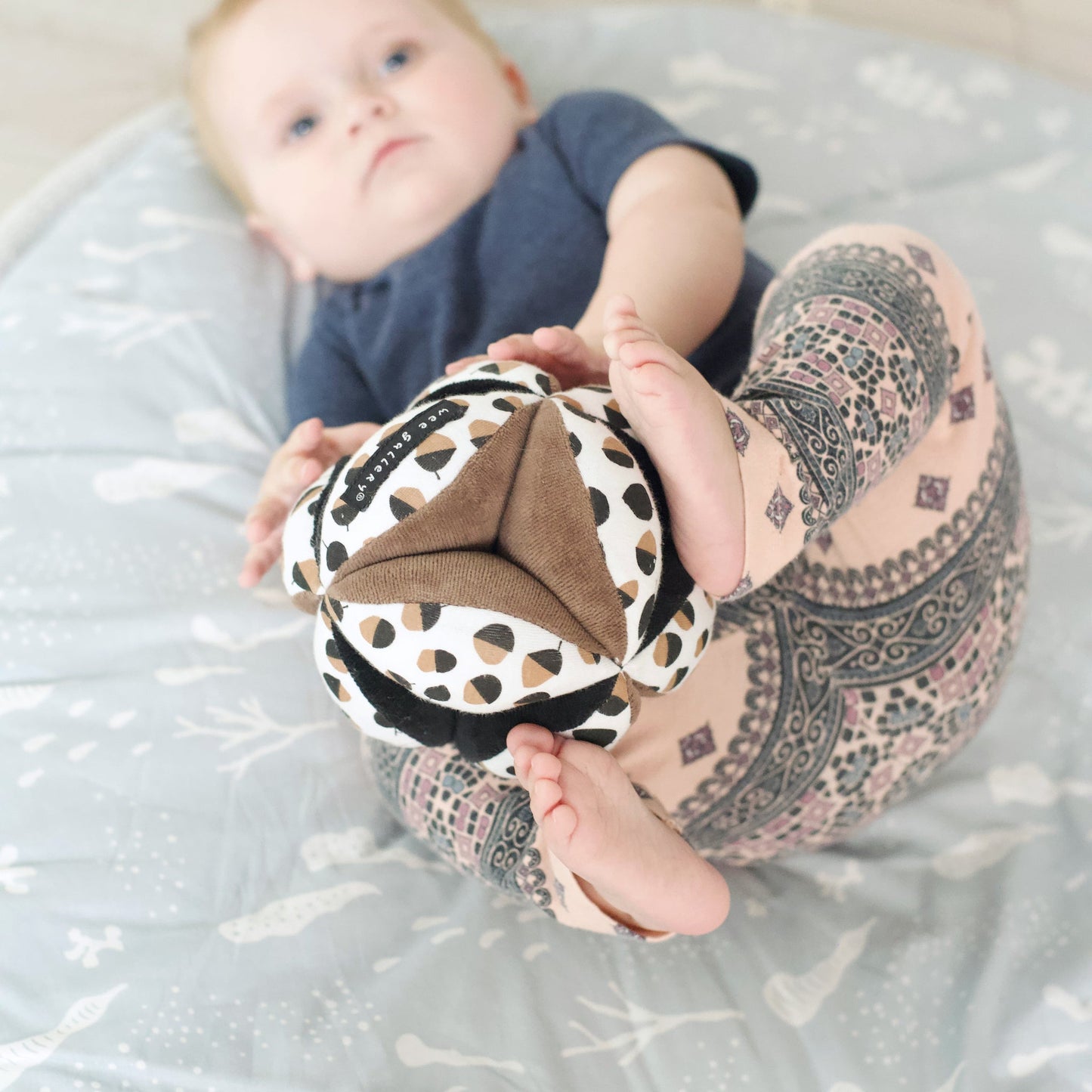Acorn Clutch and Taggy Ball Bundle