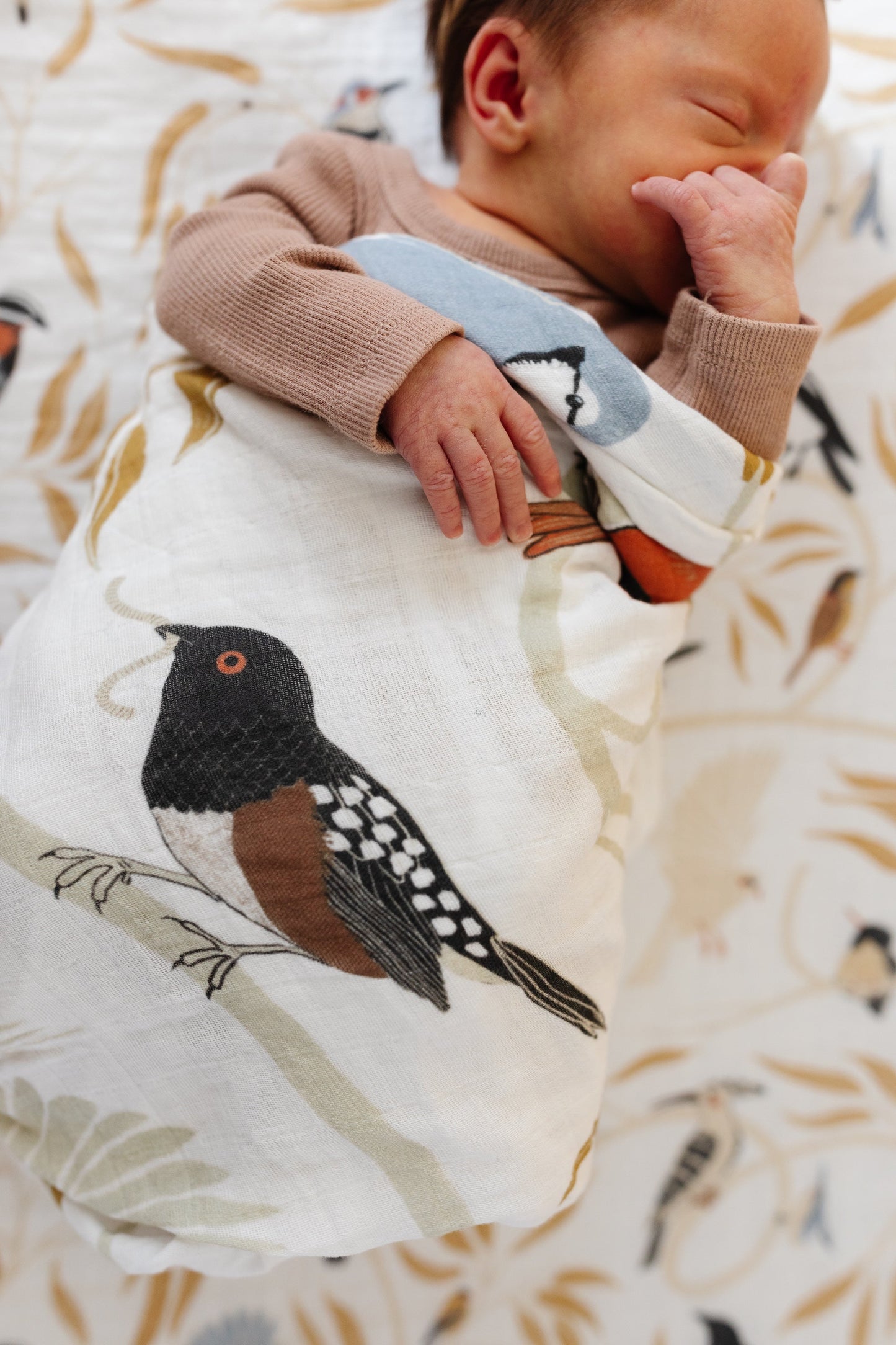 For the Birds Swaddle
