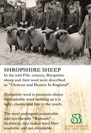 Shropshire sheep wool bedding