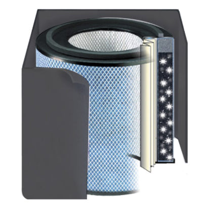 Austin Air,Austin Air HealthMate Plus Replacement Filter